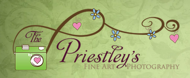 Priestleys Logo